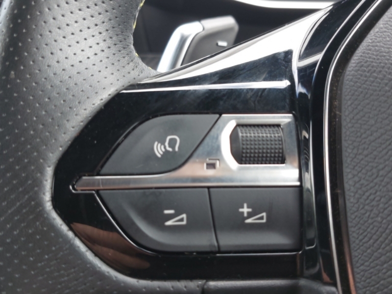 Peugeot 2008 Active Premium Black #13