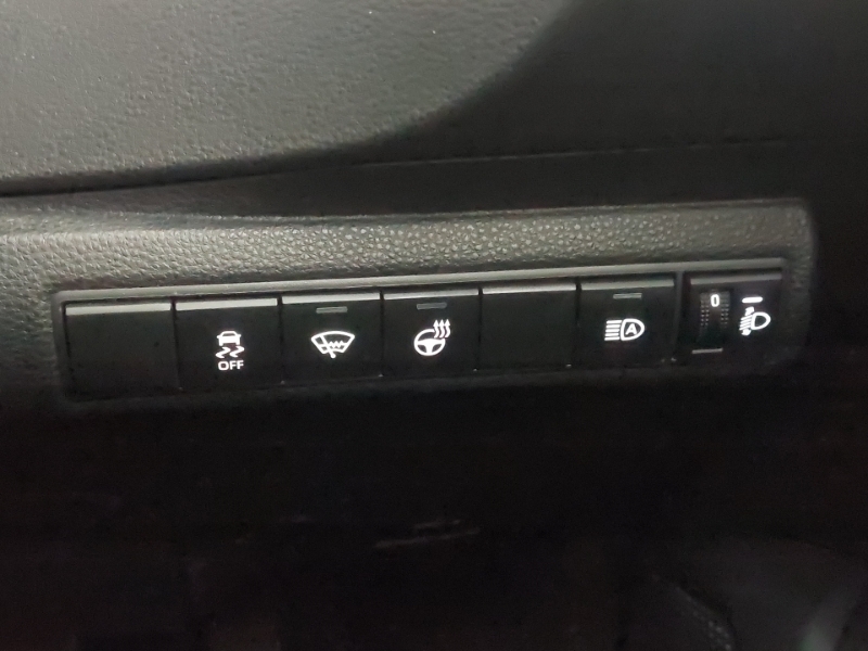 Suzuki Swace Motion Silver #17