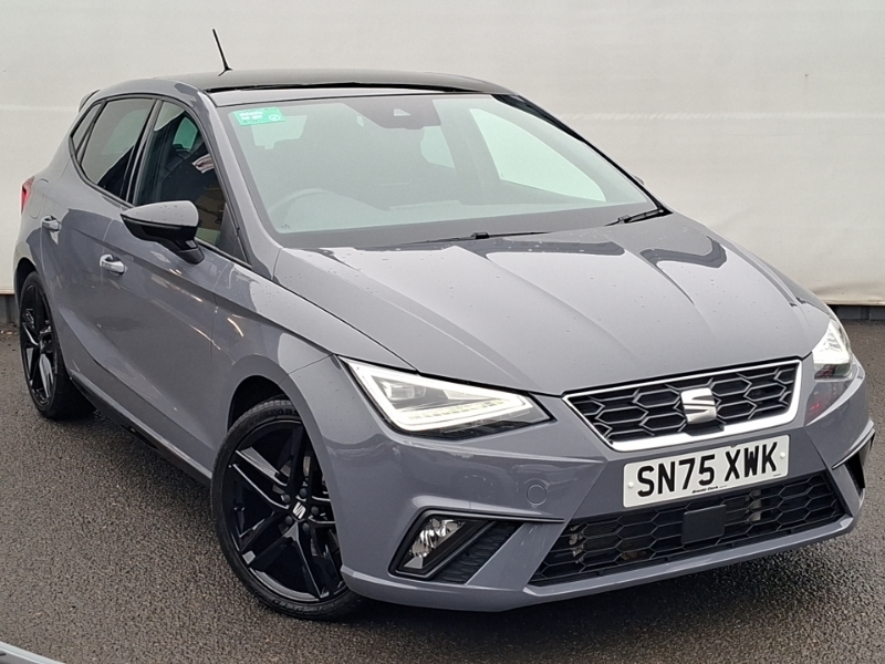 Seat Ibiza Se Technology Grey #1