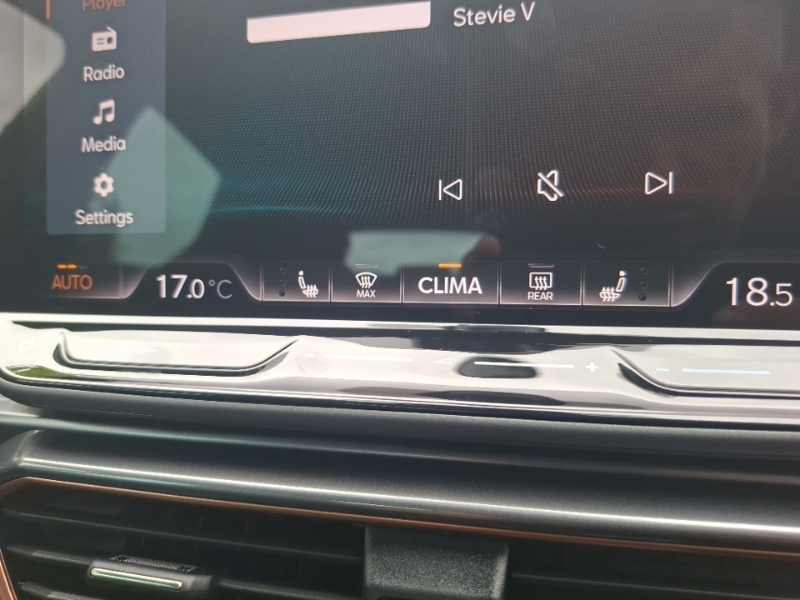Cupra Formentor 1.5 Tsi 150 V2 Grey #15