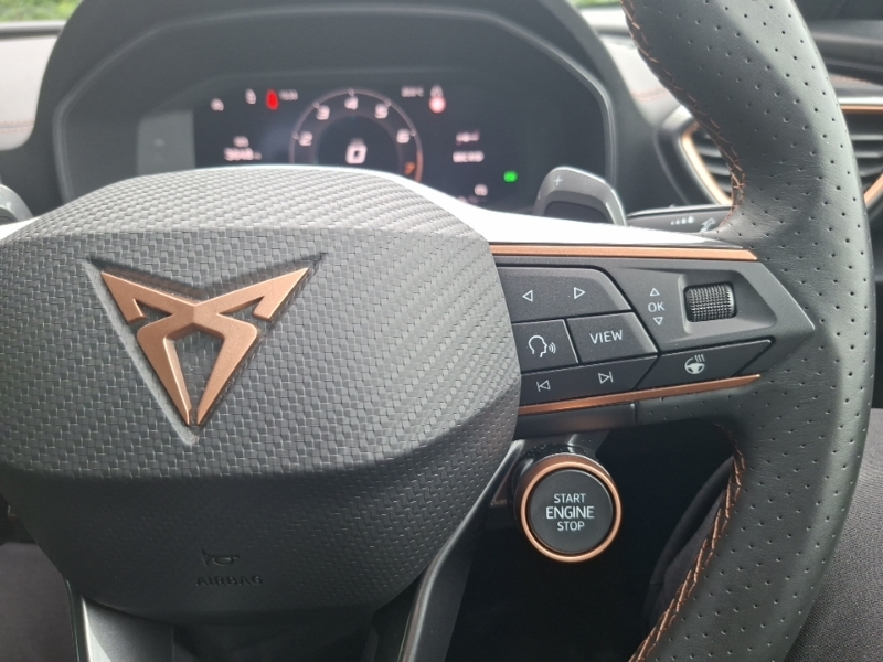 Cupra Formentor 1.5 Tsi 150 V2 Grey #13