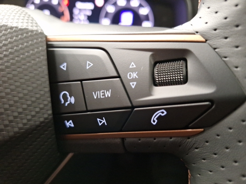 Cupra Formentor 1.5 Tsi 150 V3 Black #13