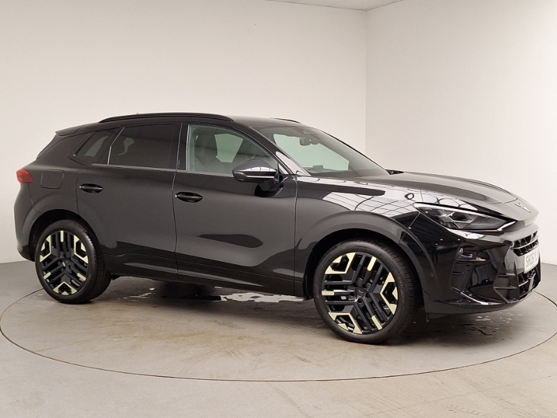 Cupra Terramar 2.0 Tsi 265 Vz2 Dsg 4Drive Grey #7
