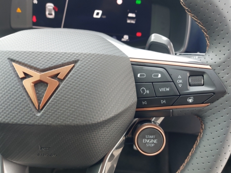 Cupra Formentor 1.5 Tsi 150 V2 Grey #13