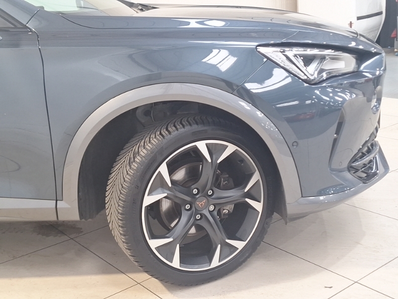 Cupra Formentor 1.5L V1 Grey #20