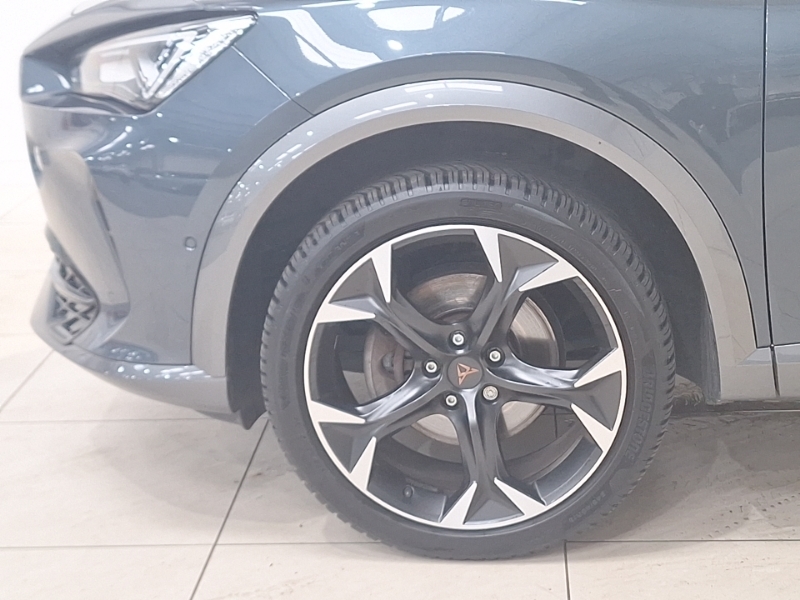 Cupra Formentor 1.5L V1 Grey #19