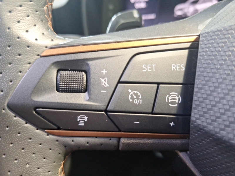Cupra Formentor 1.5L V1 Grey #12