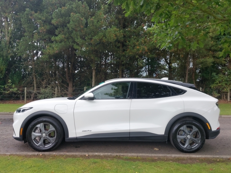 Ford Mustang Mach-E 198Kw Standard Range 68Kwh Rwd White #4