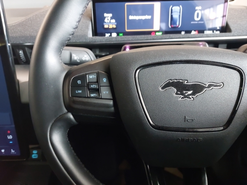 Ford Mustang Mach-E Extended Range 91Kwh Premium Awd  #12
