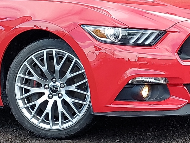 Ford Mustang Mustang Ecoboost Black #9