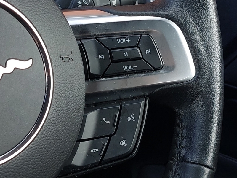 Ford Mustang Mustang Ecoboost Black #10