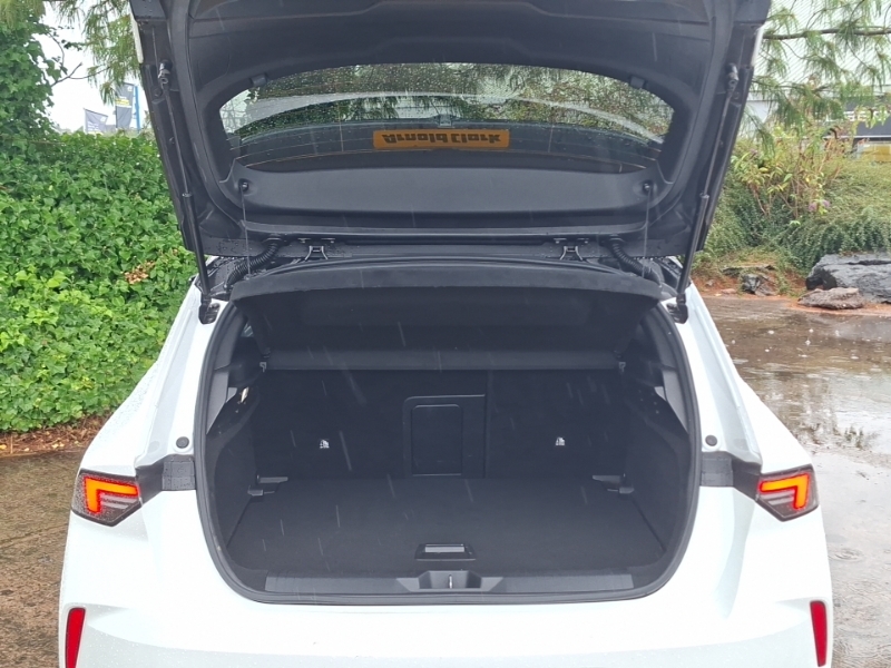 Vauxhall Astra Griffin  #18