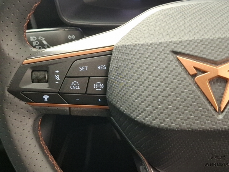 Cupra Leon 1.5 Etsi V3 Dsg Euro 6 Ss Grey #12