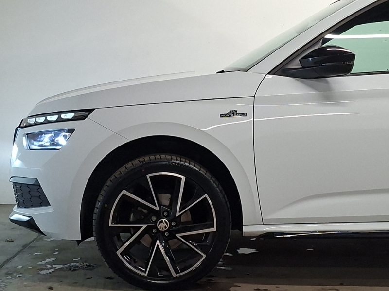 Skoda Kamiq Se White #19