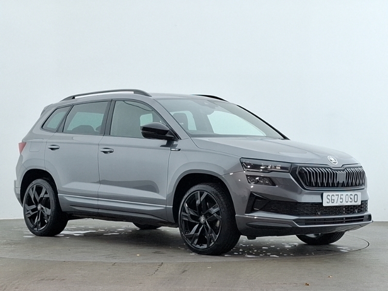 Skoda Karoq 1.5 Tsi Sportline Edition Dsg Grey #6