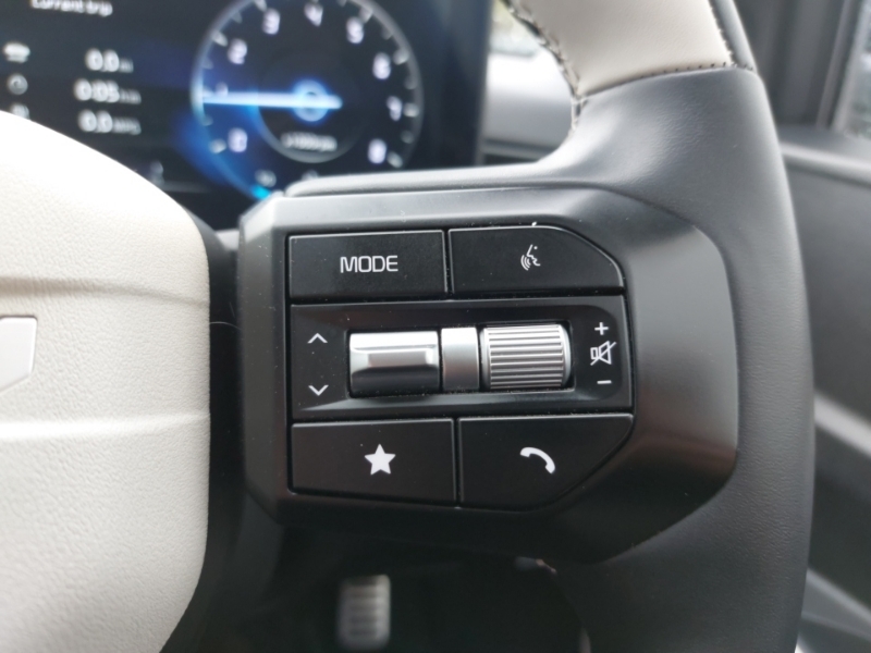 Kia Stonic Gt-line 1.0 Grey #13