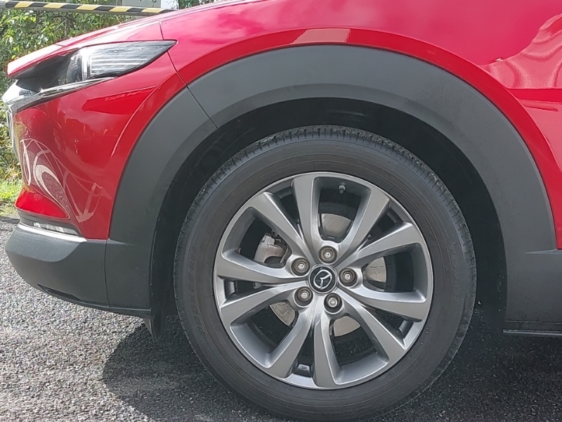 Mazda CX-30 Gt Sport Tech Mhev Red #19