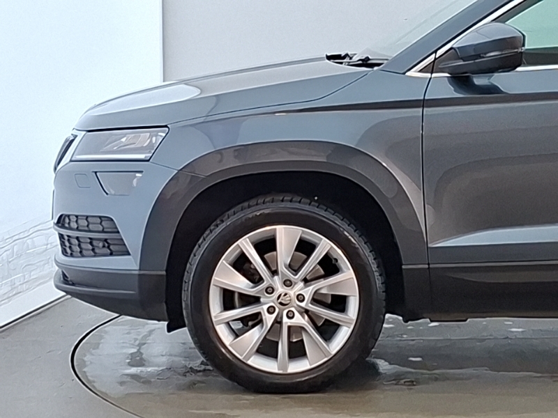 Skoda Karoq Se Technology Silver #19