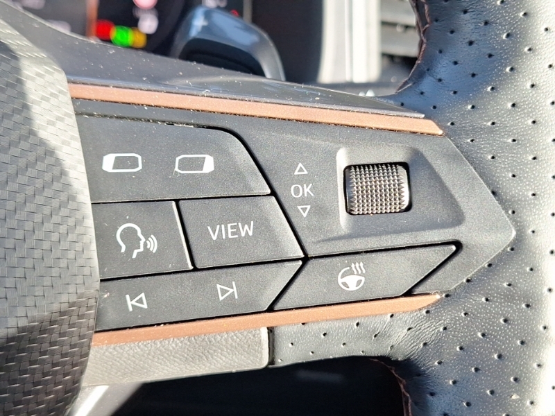 Cupra Ateca 2.0 Tsi Vz1 Dsg 4Drive Estate Black #13