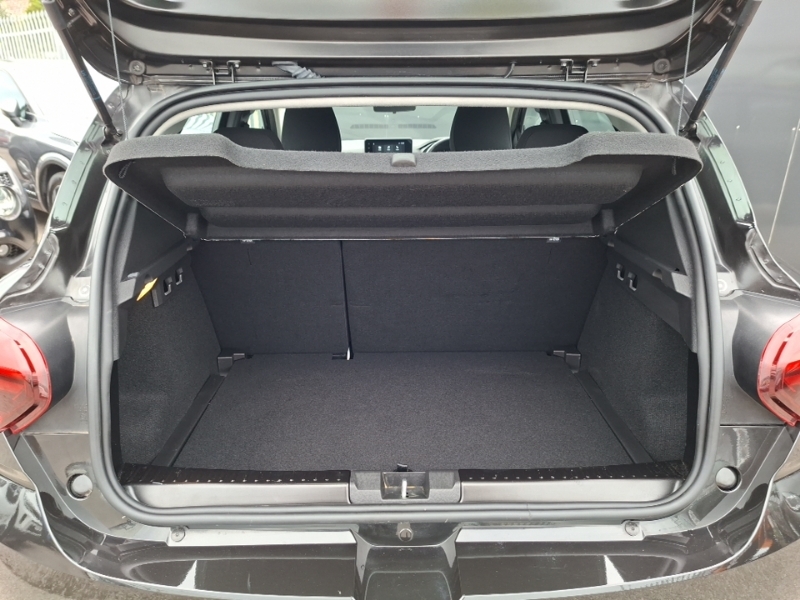 Dacia Sandero Stepway Sandero Extreme Tce Green #18