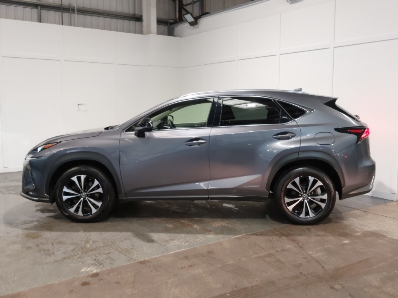 Lexus NX 300H 2.5 Cvt 8 Nav Grey #4