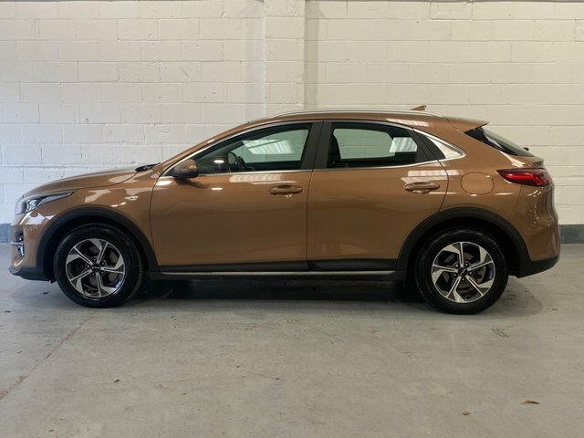 Kia Xceed 2022 1.0 T-gdi 2 Suv Euro 6 Ss Brown #6