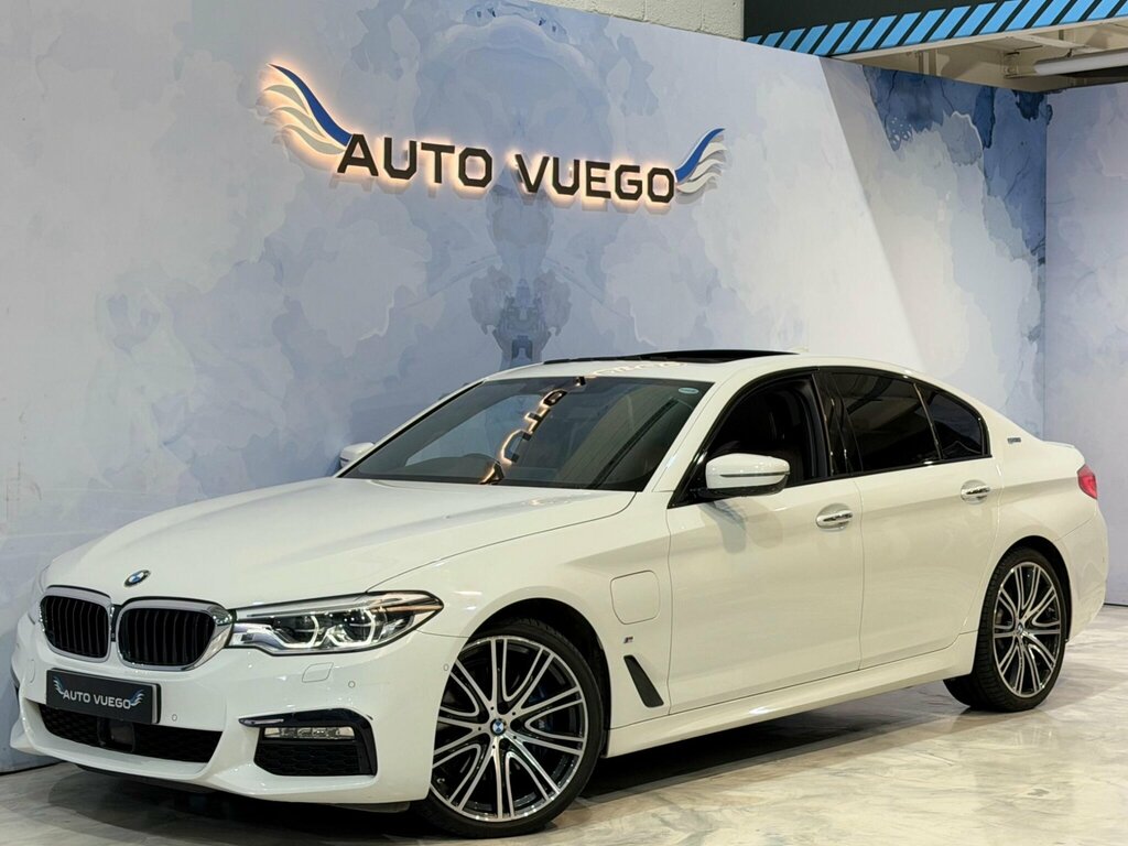 BMW 5 Series 2.0 530E 9.2Kwh M Sport Euro 6 Ss White