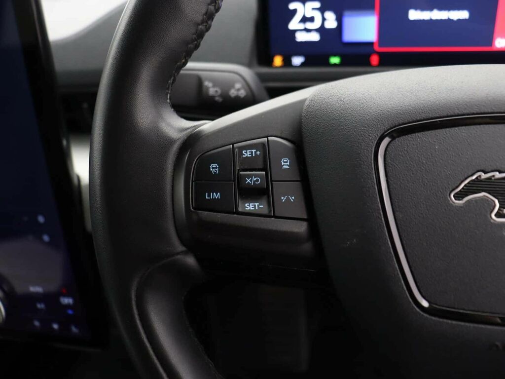 Ford Mustang Mach-E Extended Range 91Kwh Suv Aw Black #25