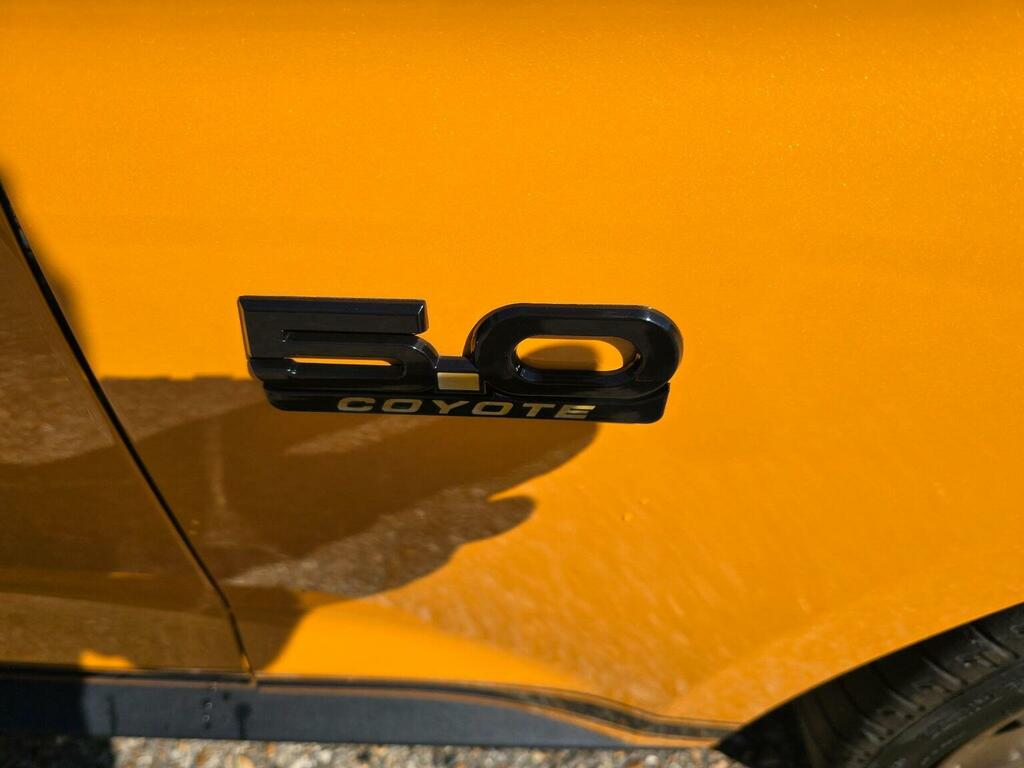 Ford Mustang Mustang Mach 1 Silver #25