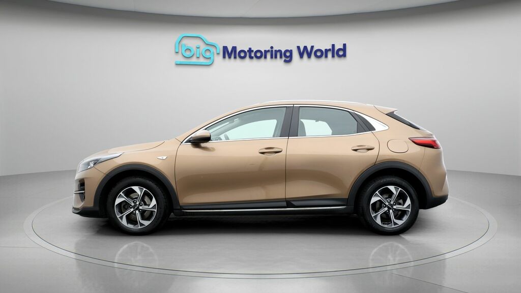 Kia Xceed 2 Brown #4