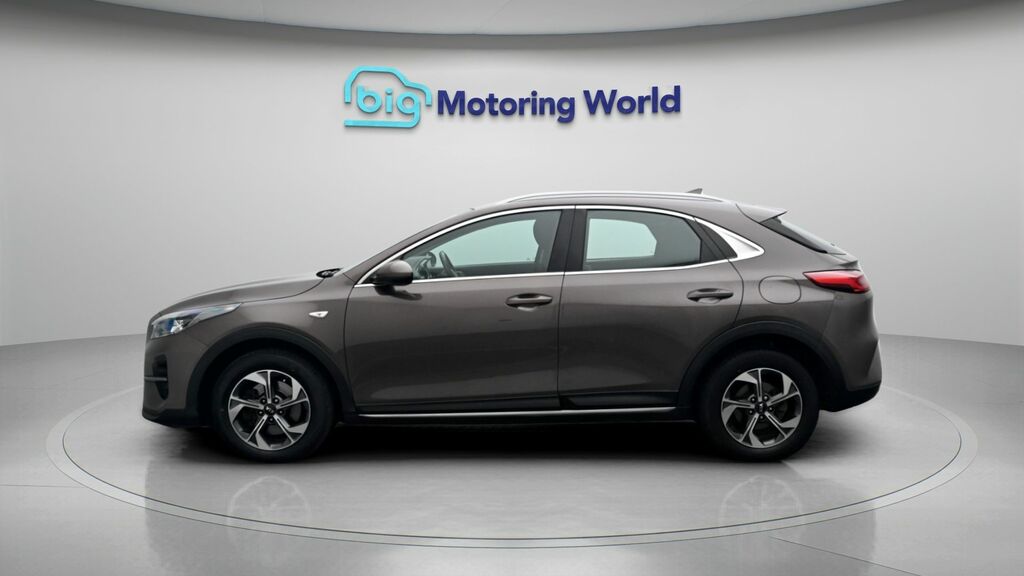 Kia Xceed 2 Brown #4