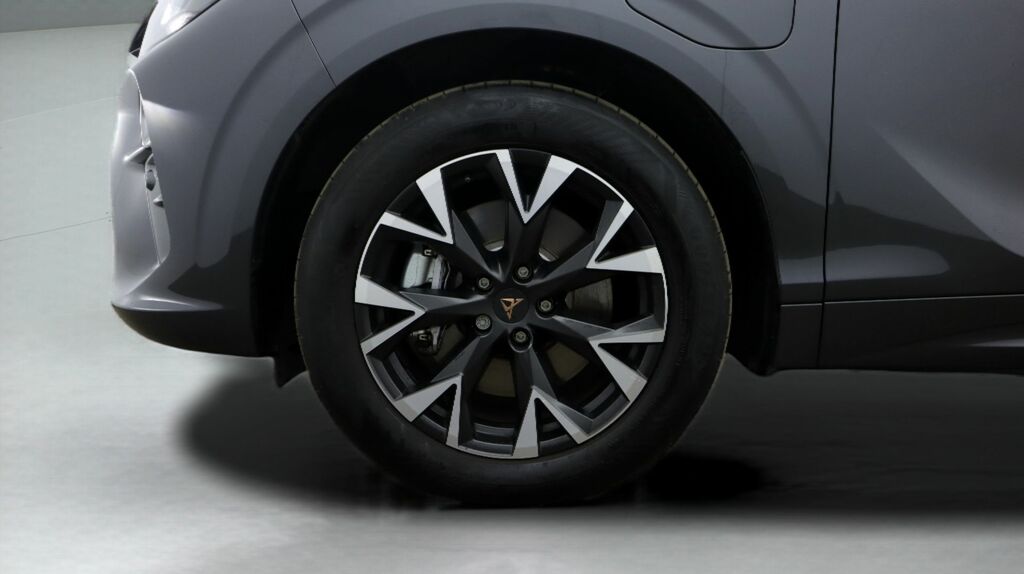 Cupra Terramar 2.0 Tsi 265 Vz2 Dsg 4Drive Black #18