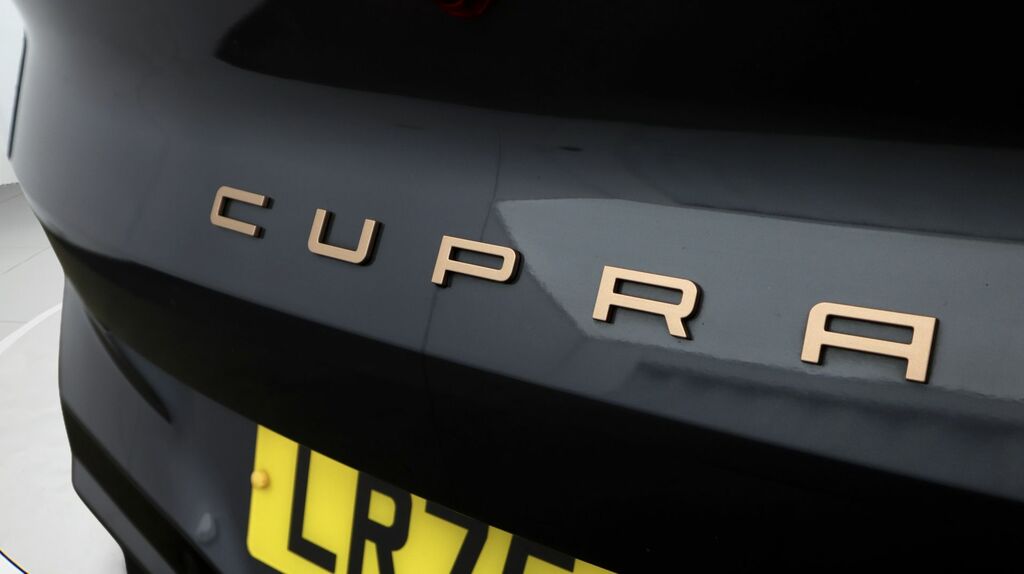 Cupra Terramar 2.0 Tsi 265 Vz2 Dsg 4Drive Black #20