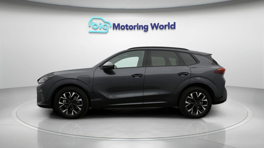 Cupra Terramar V1 Grey #4