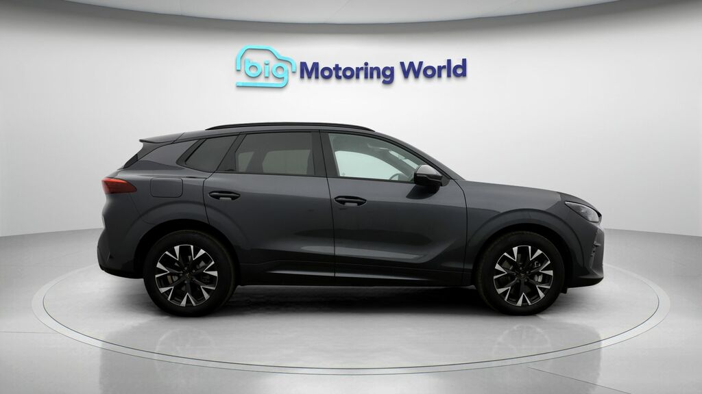 Cupra Terramar 2.0 Tsi 265 Vz2 Dsg 4Drive Black #8