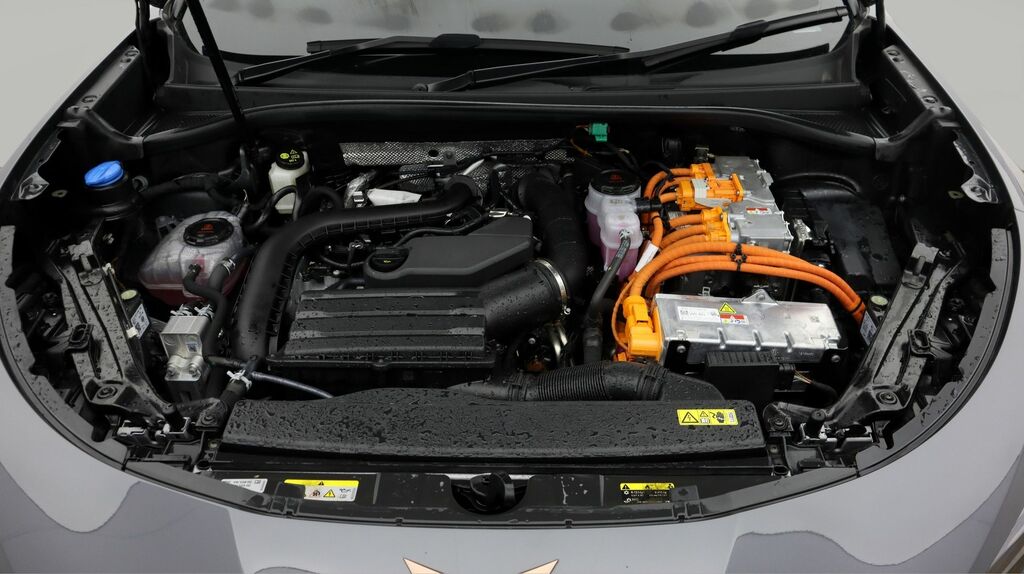 Cupra Terramar 2.0 Tsi 265 Vz2 Dsg 4Drive Black #19