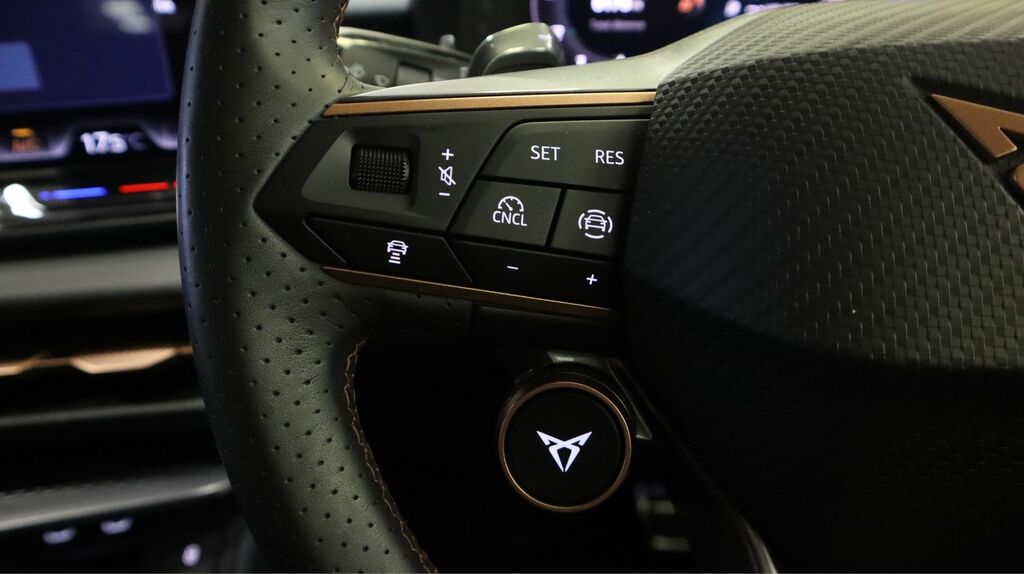 Cupra Terramar 2.0 Tsi 265 Vz2 Dsg 4Drive Black #24