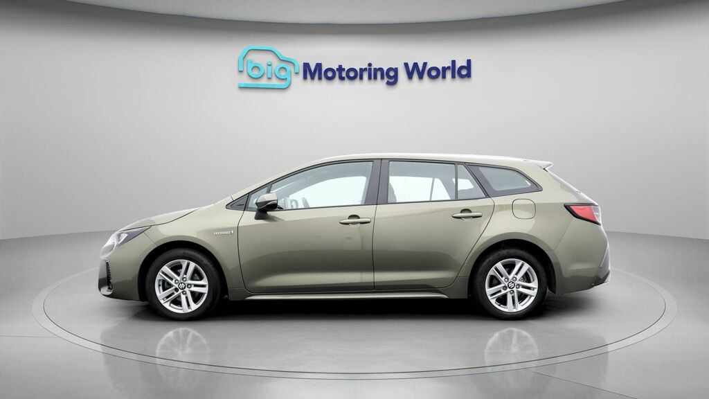 Suzuki Swace Motion Brown #4