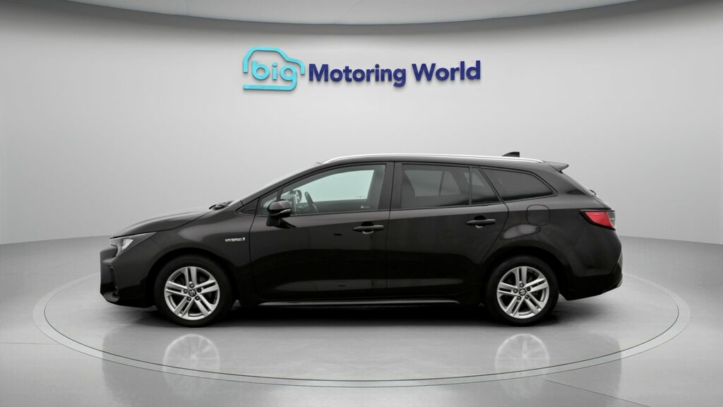 Suzuki Swace Motion Brown #4