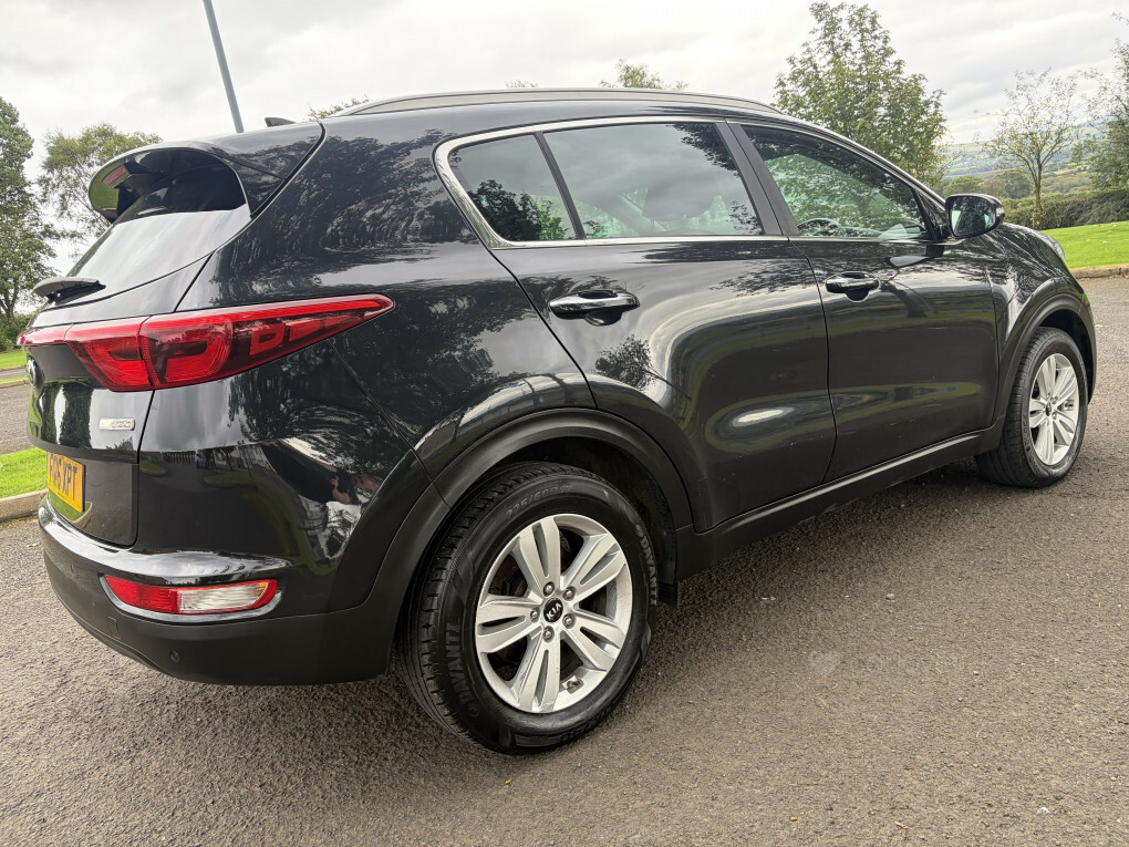 Kia Sportage First Edition White #10