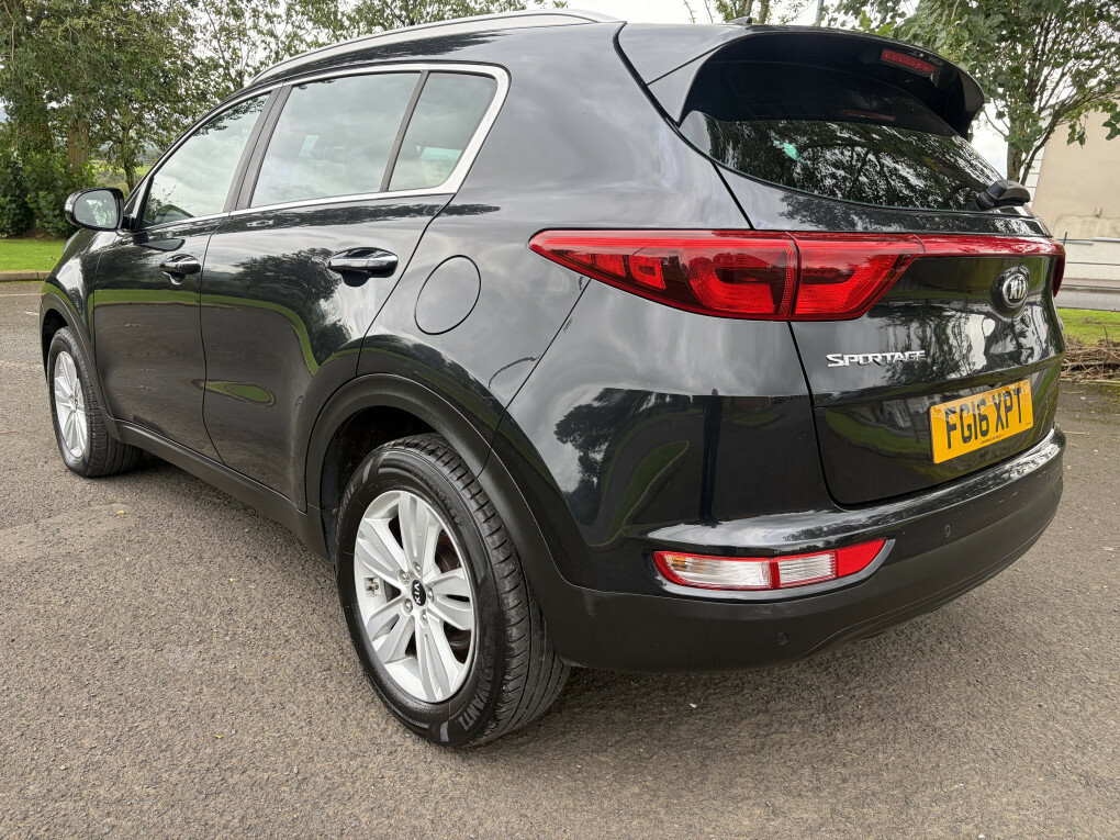 Kia Sportage First Edition White #8