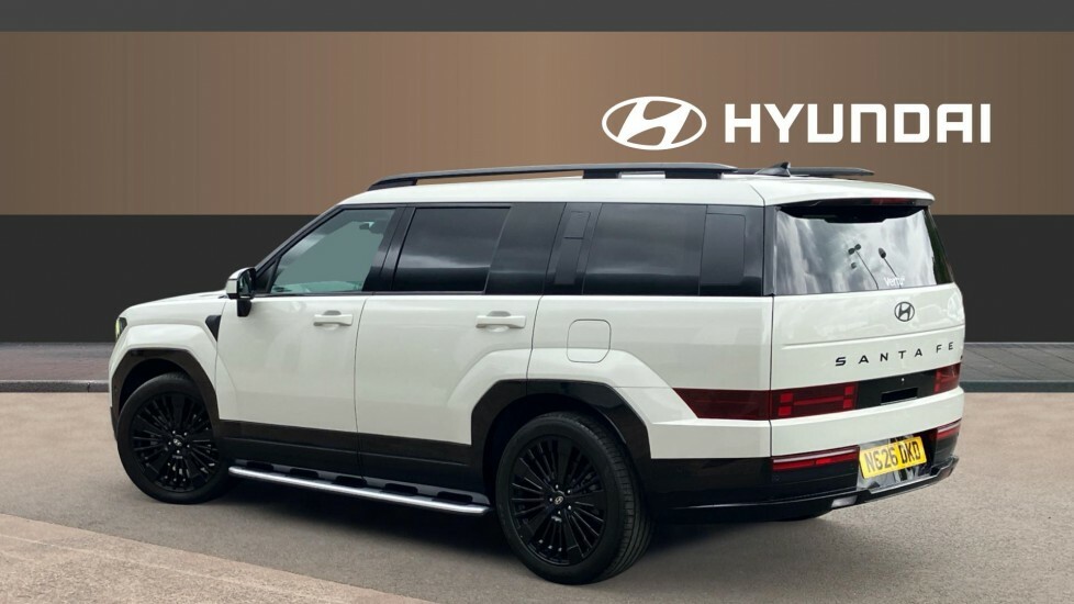 Hyundai Santa Fe Calligraphy  #2