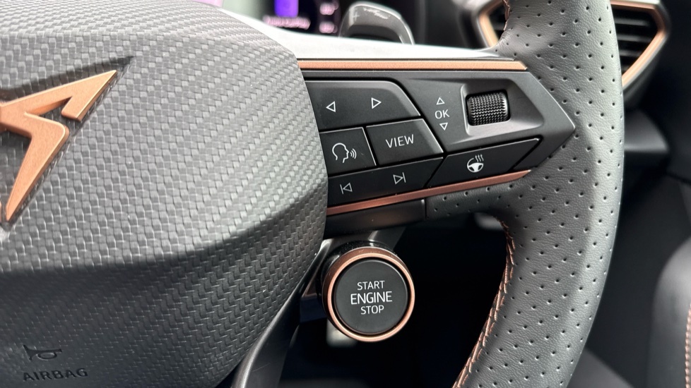 Cupra Formentor Vz2 2.0 Tsi 4Drive 333 7-Speed Grey #25
