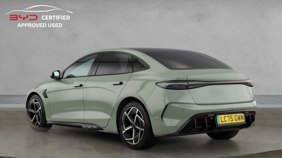 Byd Seal Design Green #4