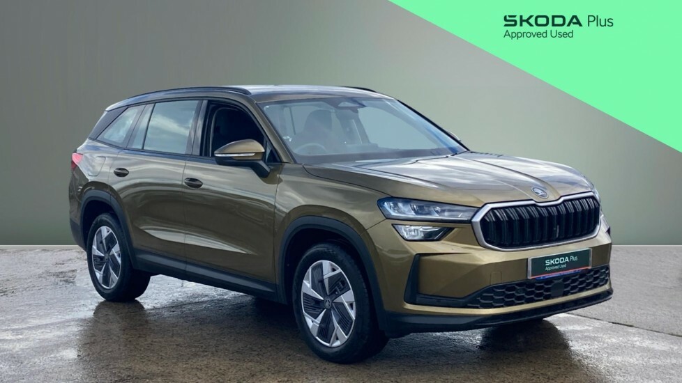 Skoda Kodiaq Se Gold