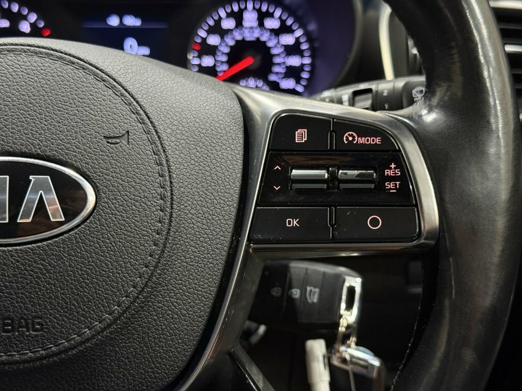Kia Sorento  Grey #31