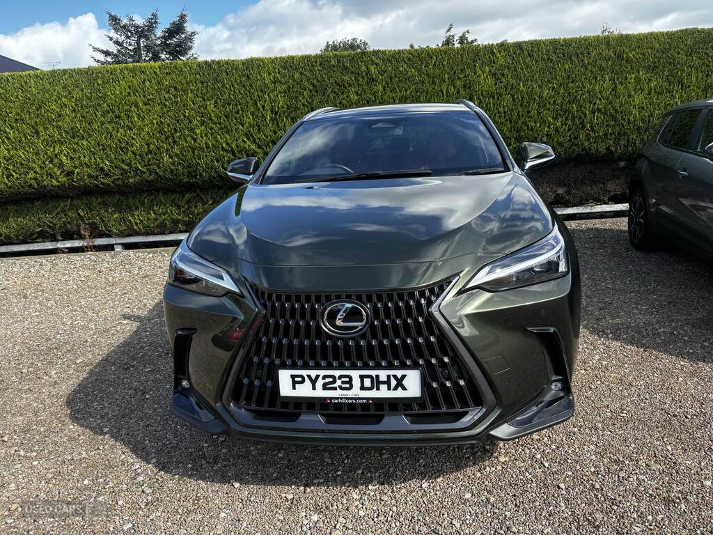 Lexus NX 450H 2.5 E-cvt Premium Pack Green #2