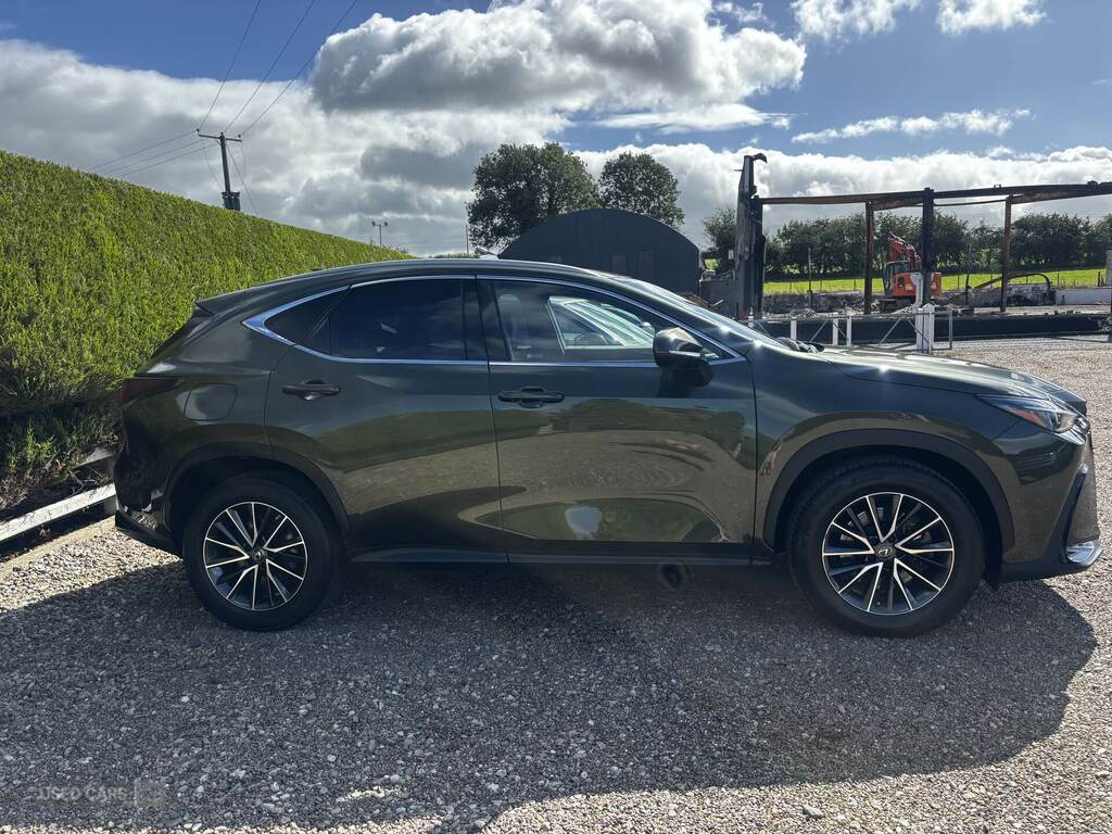 Lexus NX 450H 2.5 E-cvt Premium Pack Green #2