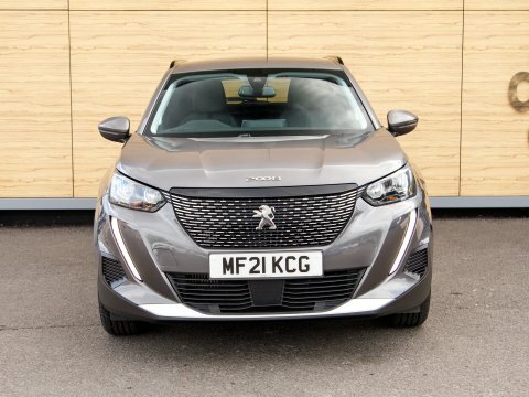 Peugeot 2008 Suv Grey #5