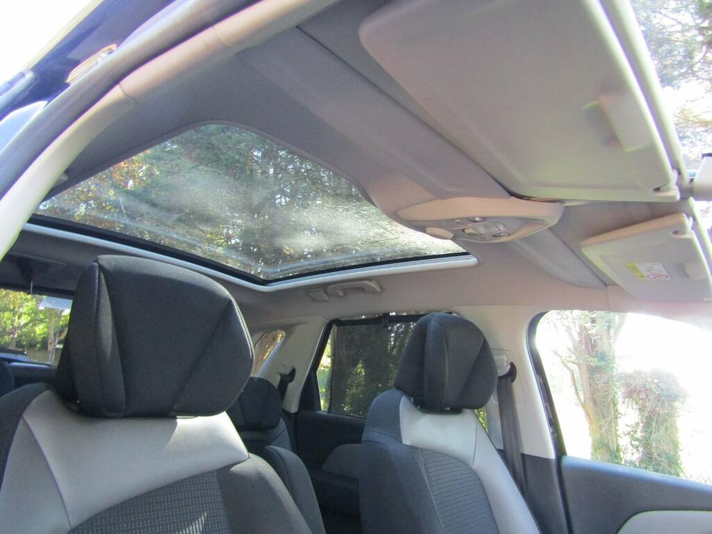 Citroen C4 Picasso Platinum Hdi  #19
